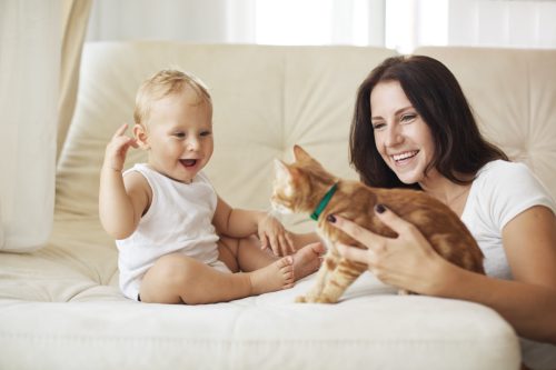Mother with her baby playing with pet on a sofa at living room
