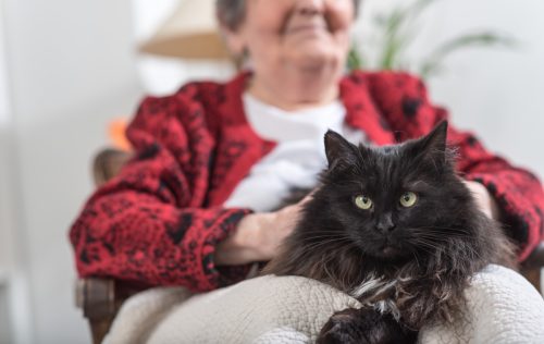 Elderly woman with her black cat