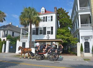 Historic white houses in Charleston, South Carolina with a horse carriage tour passing by.