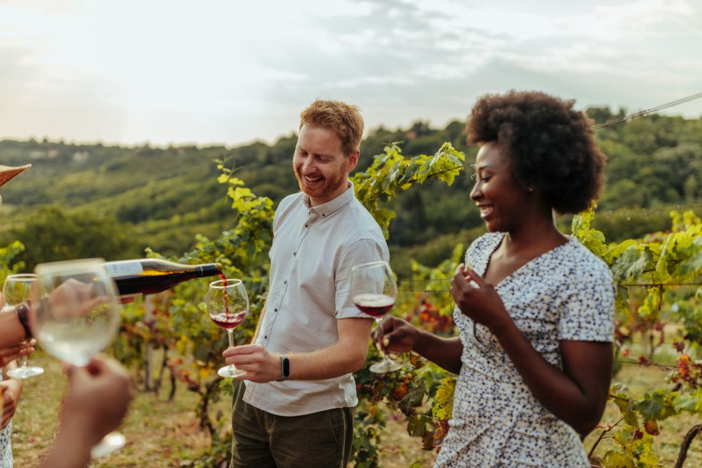 Một cặp vợ chồng đang thưởng thức rượu vang ở giữa vườn nho.