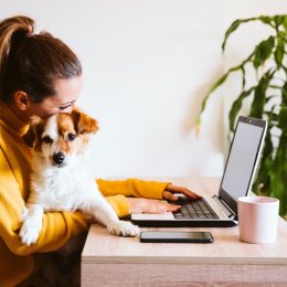 young woman working on laptop at home,cute small dog besides. work from home, stay safe during coronavirus covid-2019 concpt