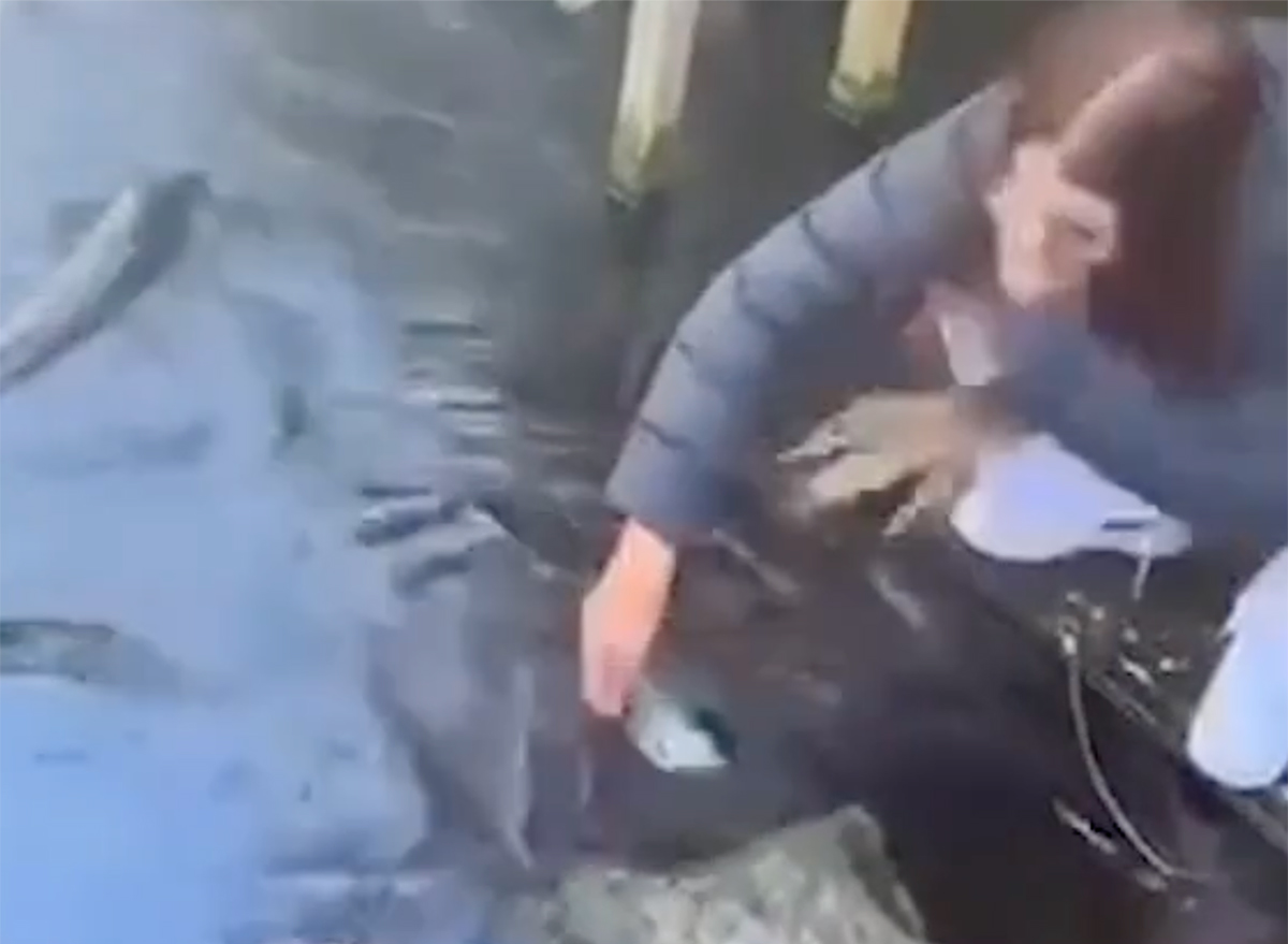 Video Shows Eel Biting Woman Who Was “Fishing” For Her Phone