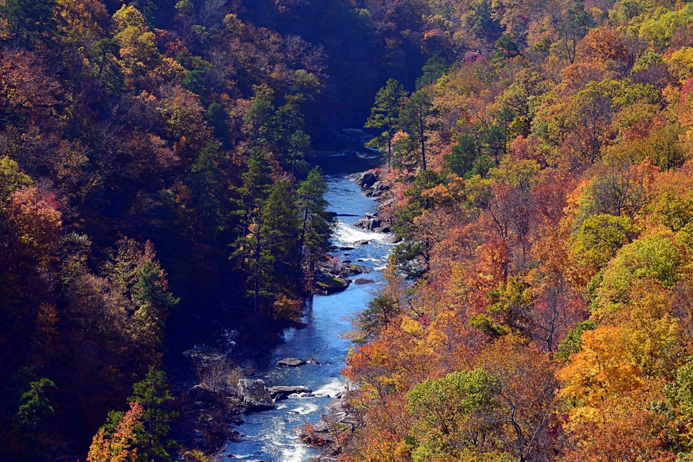 Một con sông chảy qua hẻm núi Little River Canyon ở Fort Payne, Alabama