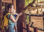 A mother and her infant son feeding a giraffe at a zoo