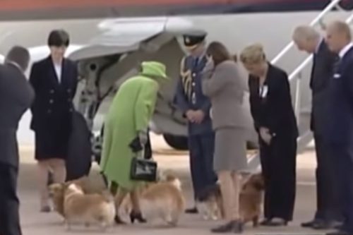 Regina Elisabeta a II-a la aeroport cu câinii ei Corgi.