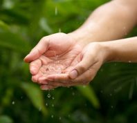 Rain water drop to cupped hand with green nature background metaphor abundance of freshwater and nature. Ecosystem and sustainable lifestyle.