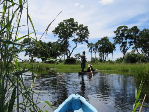 Mokoro ride in the Okavango Delta in Botswana