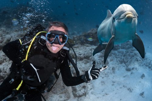 Diver making a selfie with a dolphin underwater on deep blue sea background looking at the camera.