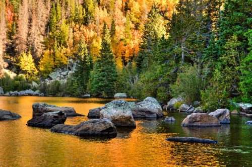 fall foliage bear lake rocky mountain national park