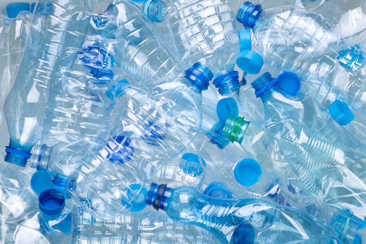 Why reusing your water bottle is more unhygienic than licking a dog toy -  Chronicle Live