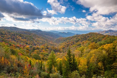 Parcul Național Great Smoky Mountains