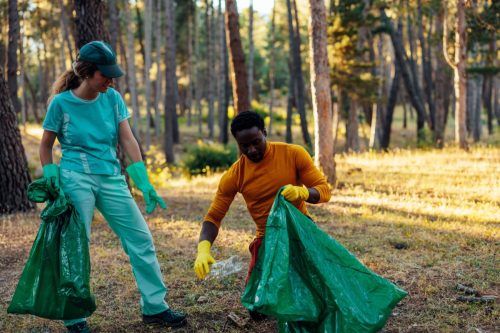 Voluntari care fac curățenie în parcul național