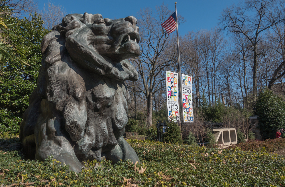 A lion statue at the entrance of the Smithsonian National Zoo
