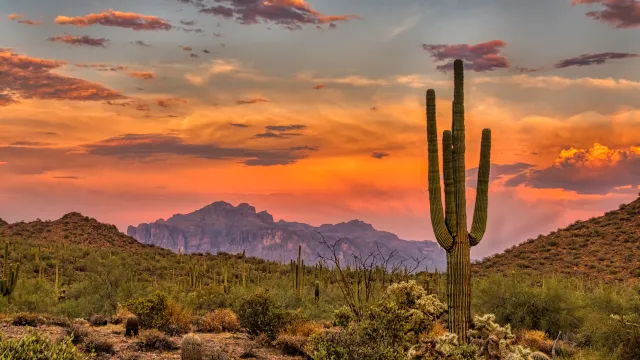 things to do in phoenix - sunset in the sonoran desert
