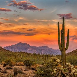 things to do in phoenix - sunset in the sonoran desert