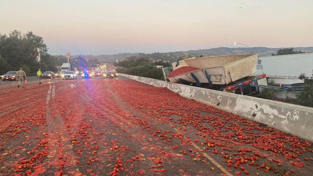Tons of tomatoes spill onto I-80 after multiple vehicle crash in Solano County, CA