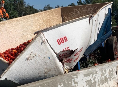 Tons of tomatoes spill onto I-80 after multiple vehicle crash in Solano County, CA