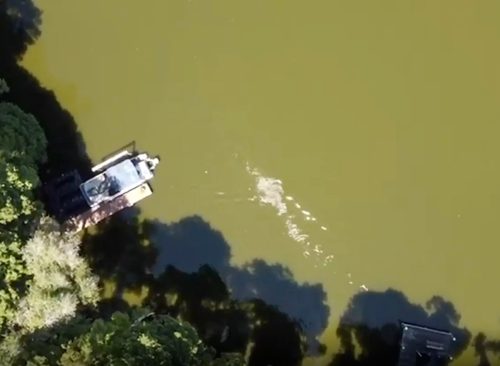 Alligator attack of triathlete swimming in preparation for event is visible in drone footage taken above Lake Thonotosassa, FL