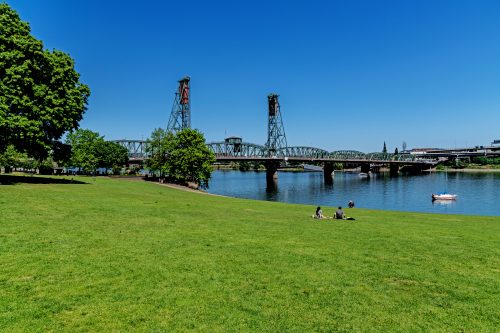 Waterfront Park in Portland- view of the grass and river