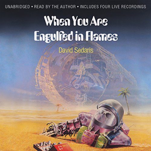 when you are engulfed in flames audiobook