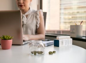 Female Cannabis Entrepreneur working on Marketing for Marijuana Business in Bright, Soft Lit Office