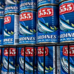 555 angel number appearing on cans of sardines