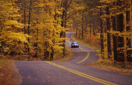 A car in the distance driving down a fall foliage-lined road in Marinette County Wisconsin