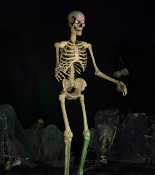 eight foot skeleton best buy