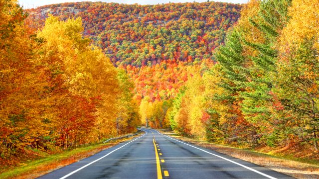 best fall trips in the us