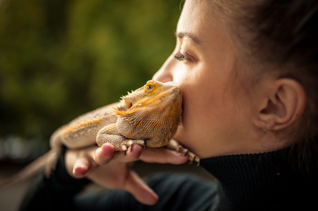 A closeup of a young woman holding a bearded dragon on her shoulder