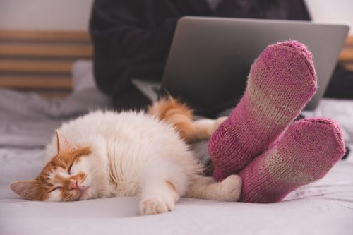Close up image of a white and orange cat lying on the bed near a woman's feet in socks.