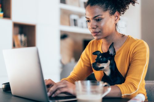Tânără afro-americană care stă cu animalul ei Chihuahua și folosește laptopul acasă