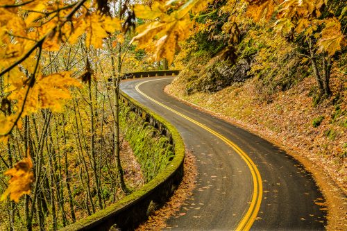 Portland Oregon's Columbia River Highway surrounded by fall foliage