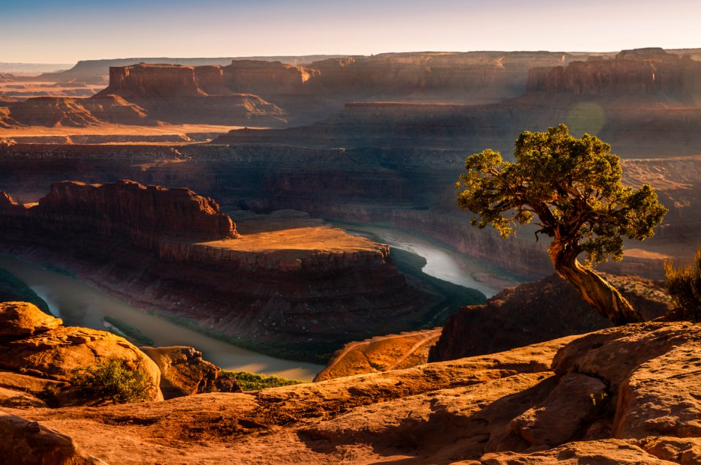 A view of the Colorado River in Dead Horse Point State Park