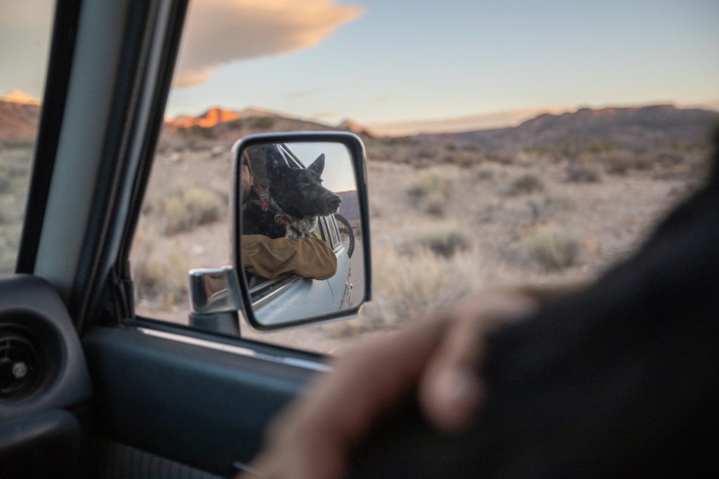 A picture of a dog in the rear view mirror of a car as it sticks its head out of the window while driving through Moab Desert in Utah