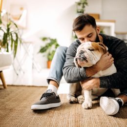 Young bearded man bonding with his english bulldog