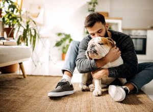 Young bearded man bonding with his english bulldog