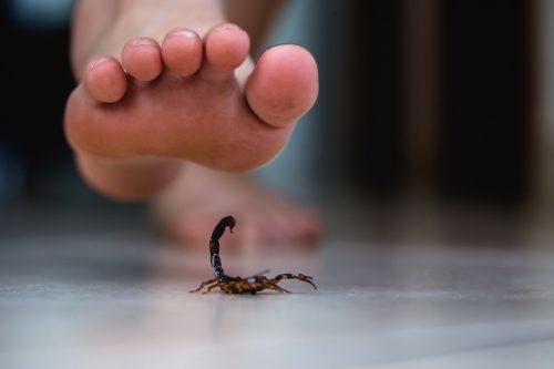 Foot stepping on a scorpion