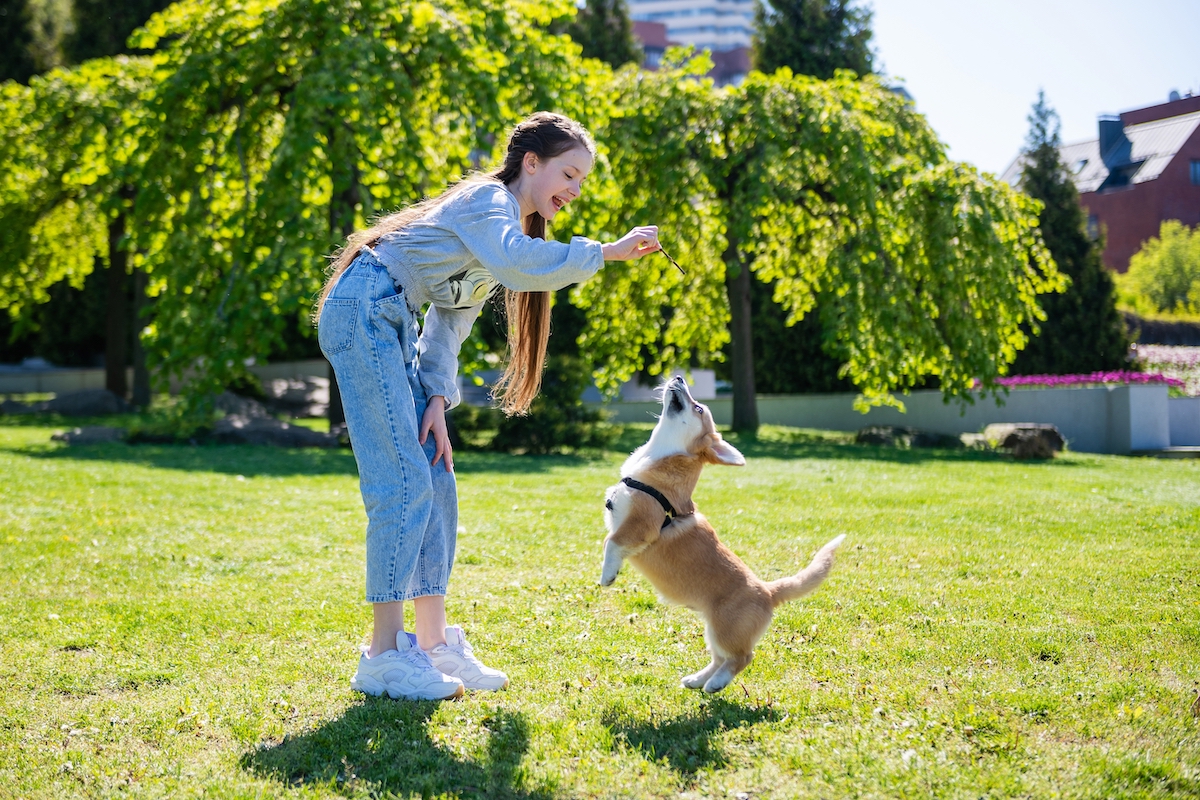 Why Make Great Pets, According to Experts — Best Life