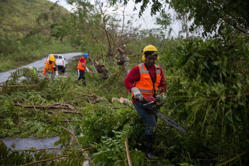 Workers clean the work removing fallen trees from the highway connecting Miches with El Seibo in the northeast of the Dominican Republic