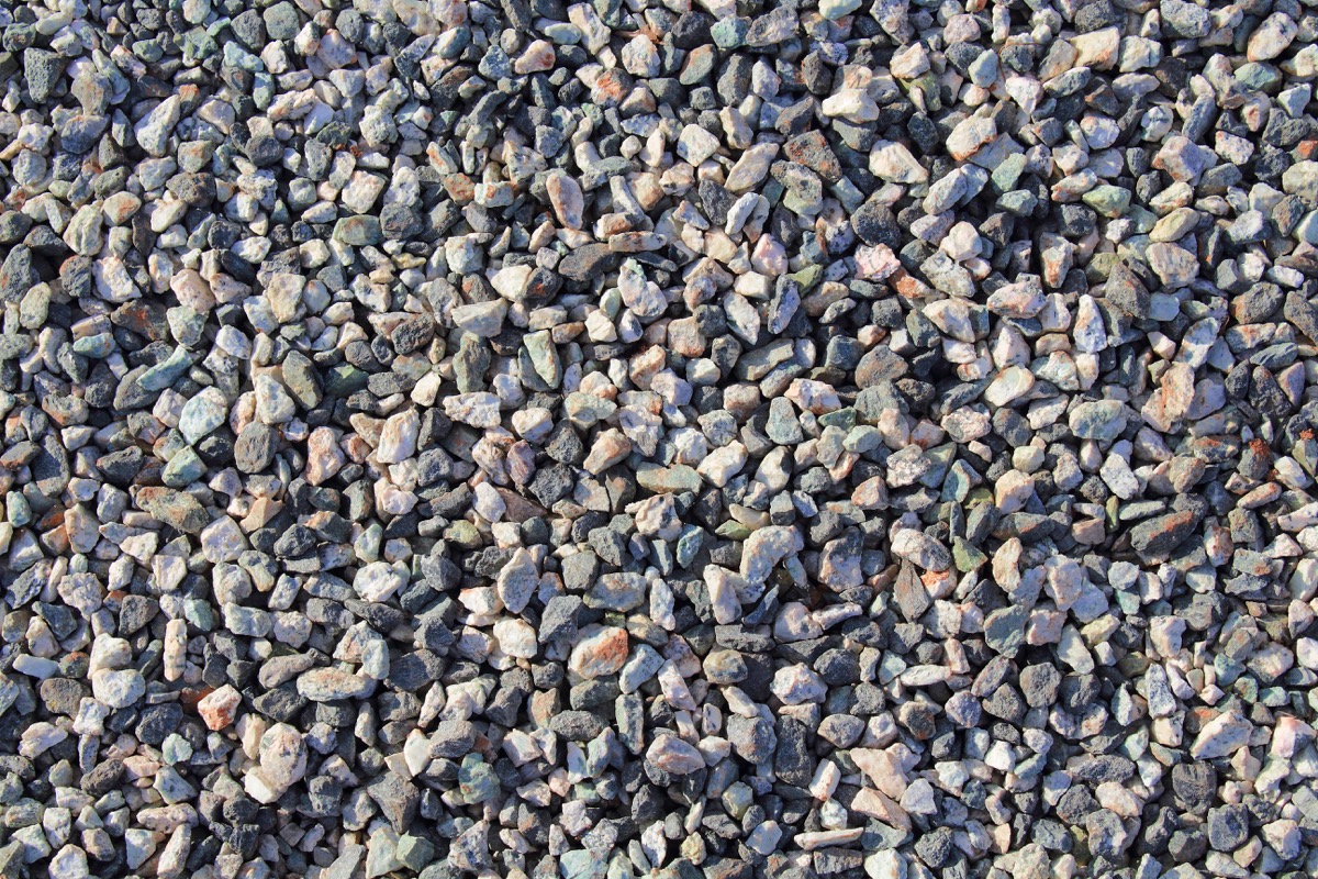 A closer look at Snake Proofing A Yard