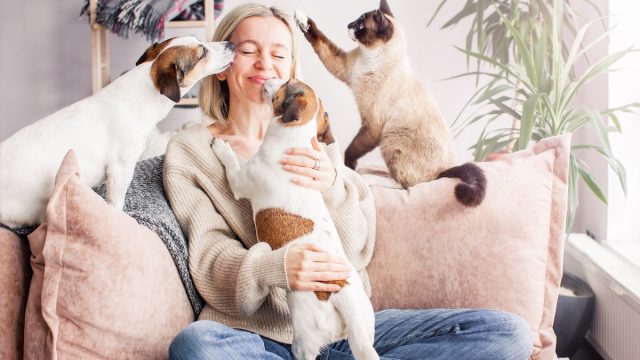 A happy blonde woman on her couch playing with her two dogs and cat.
