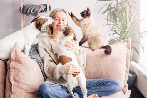 Heureuse femme blonde sur son canapé jouant avec ses chiens et son chat.