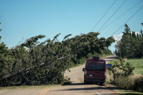 A vehicle navigates around downed trees laying against power lines a day after Post-Tropical Storm Fiona