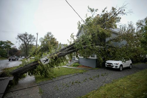 A tree sits against power lines and a home after Post-Tropical Storm Fiona hit on September 24, 2022 in Sydney, Nova Scotia on Cape Breton Island in Canada