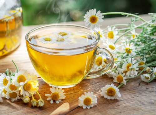 Herbal chamomile tea and chamomile flowers
