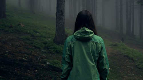 Hiker woman walking in dark mystical forest - thriller scene. 