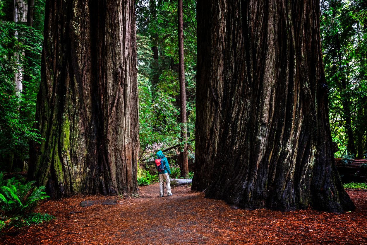 The 11 Best U.S. State Parks For Hiking — Best Life