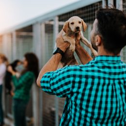 The back of a young man holding a puppy at an adoption center.