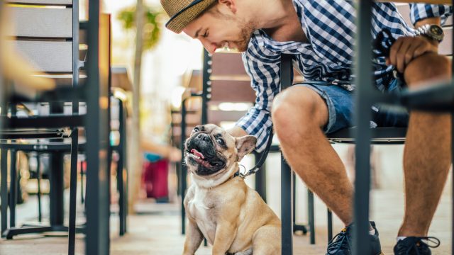 A man sitting at a cafe with his French Bulldog next to him